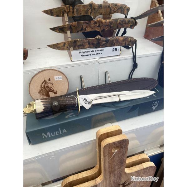 DAGUE CHASSE MUELA