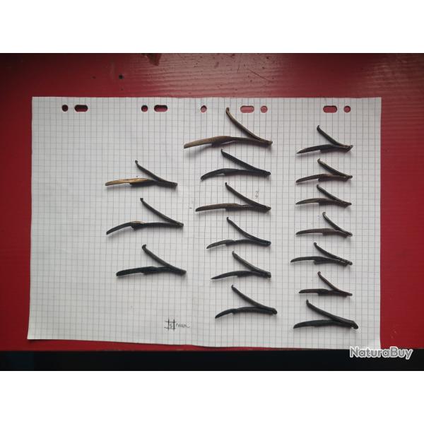 Ressort bulldog et velodog