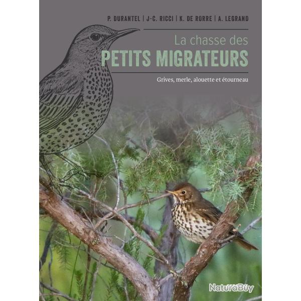 La chasse des petits migrateurs grives, merle, alouette, tourneau