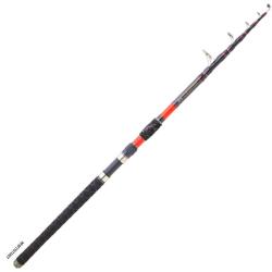 Canne Silure Daiwa Megaforce Big Fish T&eacute;lescopique 100 - 300g 5 2m90 319g