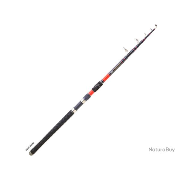 Canne Silure Daiwa Megaforce Big Fish T�lescopique 100 - 300g 5 2m90 319g