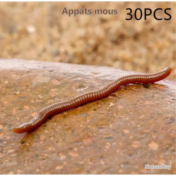 Ensemble de 30 Leurres de P�che � la Carpe. Ver de Terre Rouge 0.5g, Mat�riel de P�che Artificiel