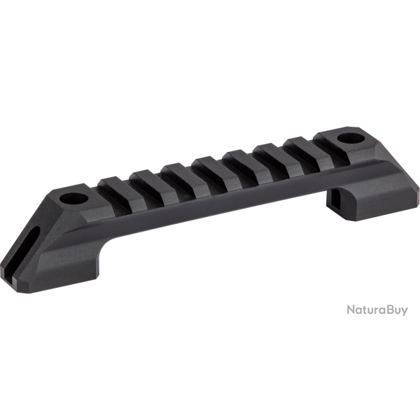 Rail Picatinny Walther reign - Court