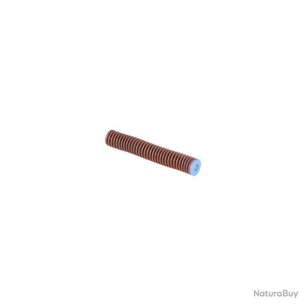 Tige guide culasse tungstene Walther avec ressort de recul 48N