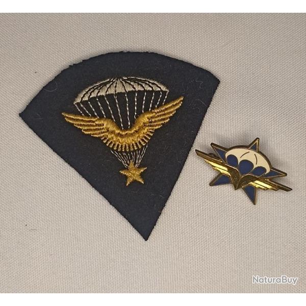 Insigne du 1er RCP model 45 para