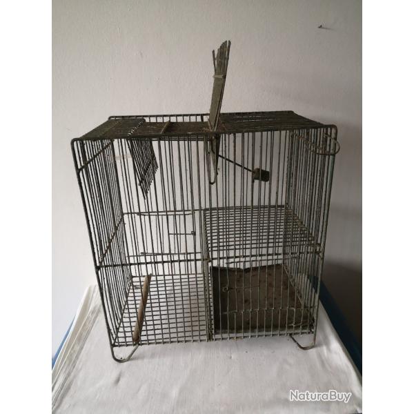 Cage pige oiseaux ancienne