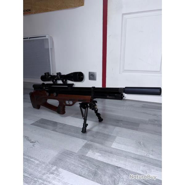 Carabine pcp 5,5mm 20 joules