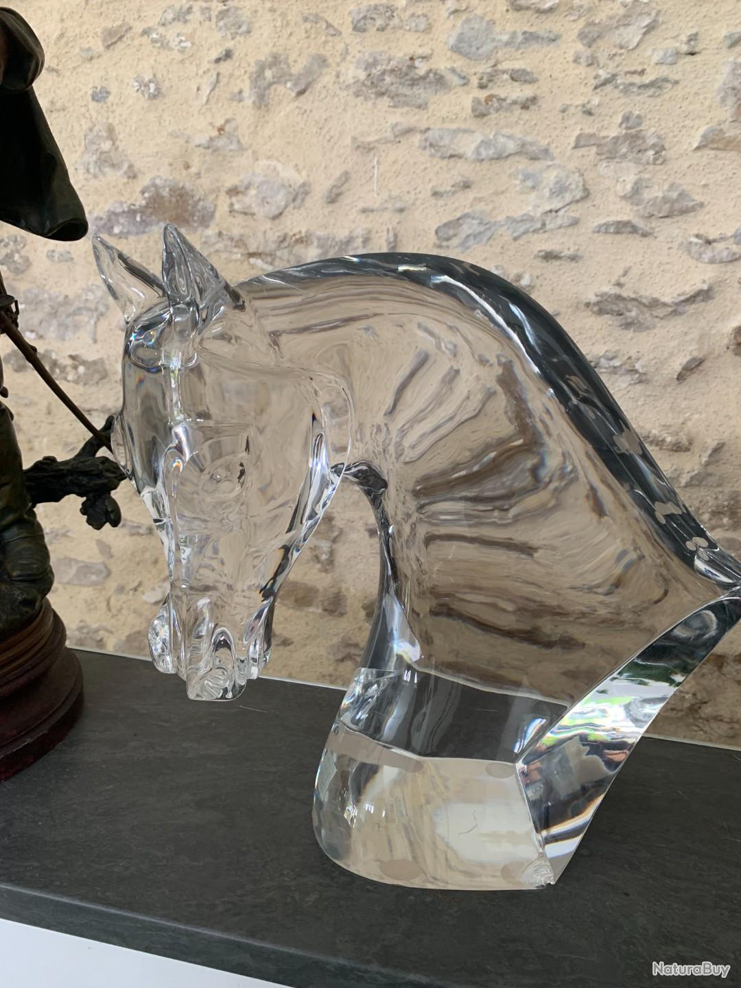 Porte-col Rembourré Cuir Pour Cheval – Taille Unique – Scintillant Toutes Tailles