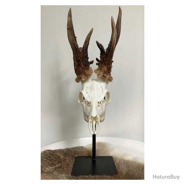 Vente flash ! Porte troph�e - SAM-NEYT