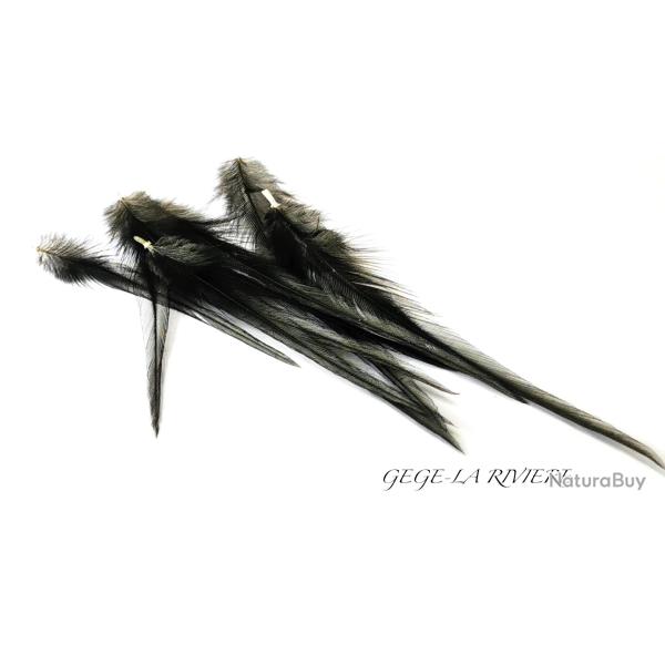 Plumes de coq limousin noir, les 50 plumes origine France