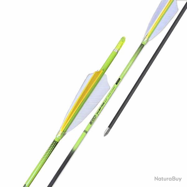 Fl�ches mont�es Shocq Inceptor 4.2 1100