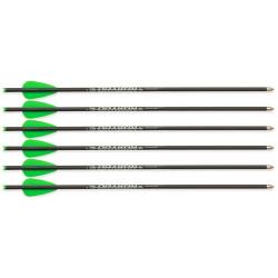 6 Fl&egrave;ches pour Arbal&egrave;te &agrave; poulies Junxing Drakon Vert