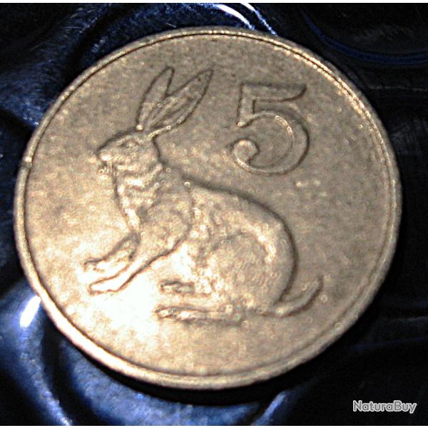 Zimbabwe  piece de 5 cents  1989 ttb  (lievre)