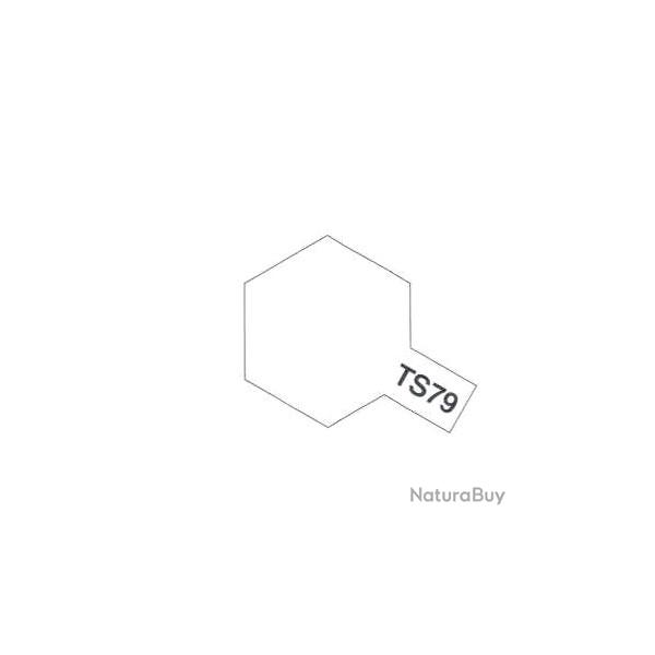 Vernis satin TS79 100 ml | Tamiya (0000 1100)