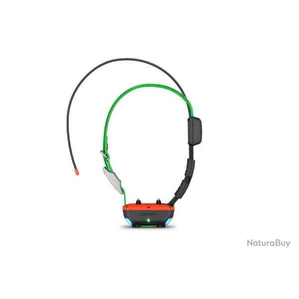 Collier De Suivi Et De Dressage TT25 - GARMIN