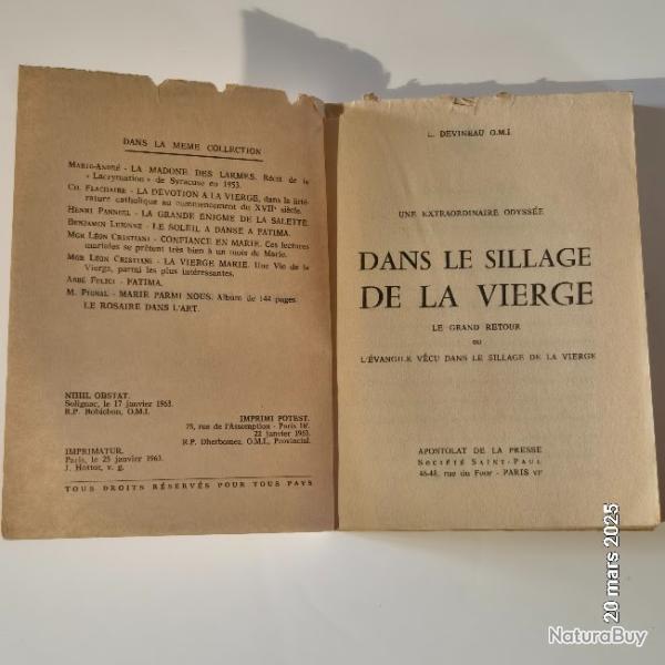 Dans le sillage de la vierge, le grand retour par devineau, une extraordinaire odysse