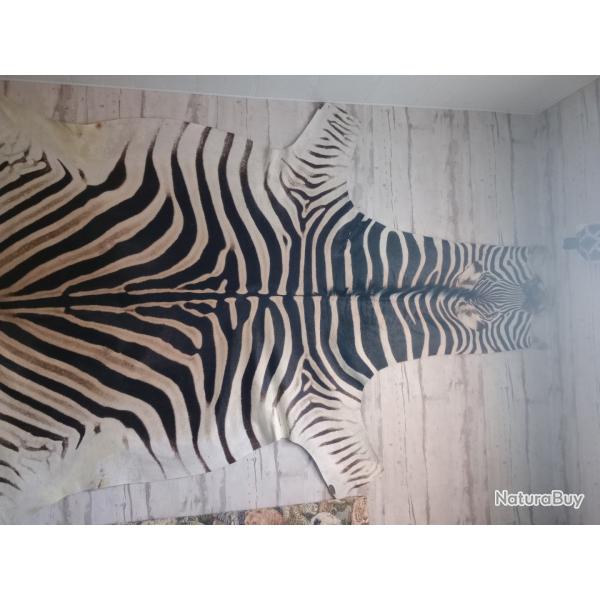 Peau de zbre Afrique du sud