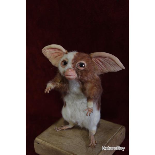 taxidermie rat mignon mogwai taxidermy rat cabinet de curiosit curiosit