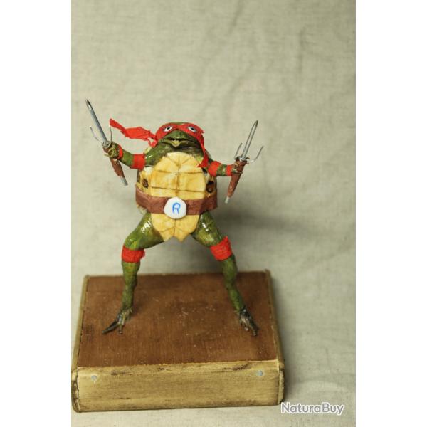 taxidermie grenouille ninja taxidermy frog bande dessines collection Mutant cabinet de curiosit