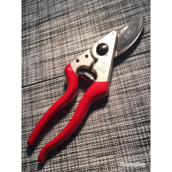 Scateur due CIGNI numro 1