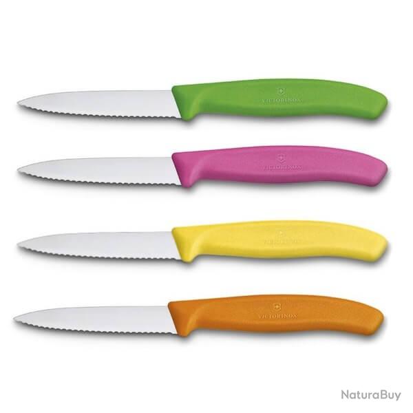 6.7689 Bo�te 20 couteaux d'office crant�s Flashy Victorinox Swiss Classic 8cm