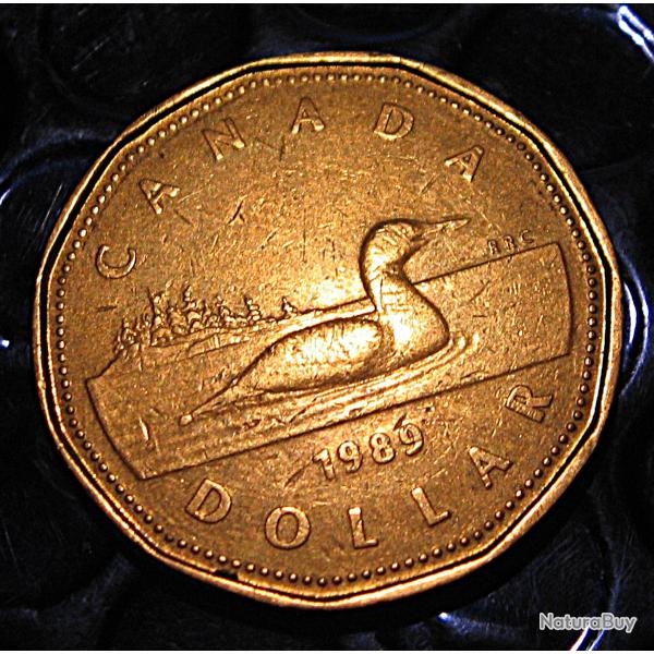 Canada piece de 1 dollar 1989 ttb Elizabeth II