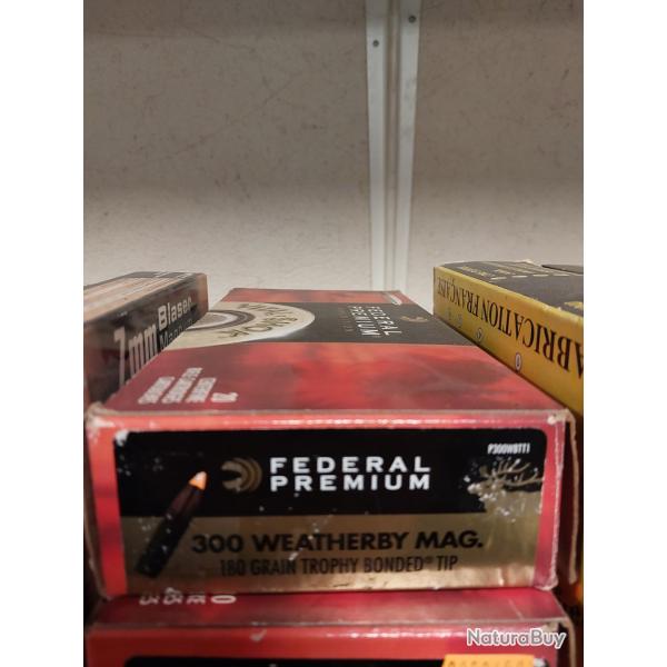 munitions FEDERAL 300 Weatherby