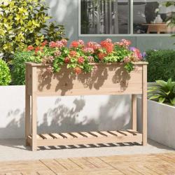 Jardini&egrave;re avec &eacute;tag&egrave;re 111,5x34,5x81 cm Bois massif de pin