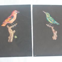 Dessins originaux gouache Oiseaux