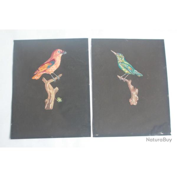 Dessins originaux gouache Oiseaux