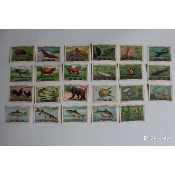 Vignettes ( 23 ) Chocolat Cailler's Animaux Suisse