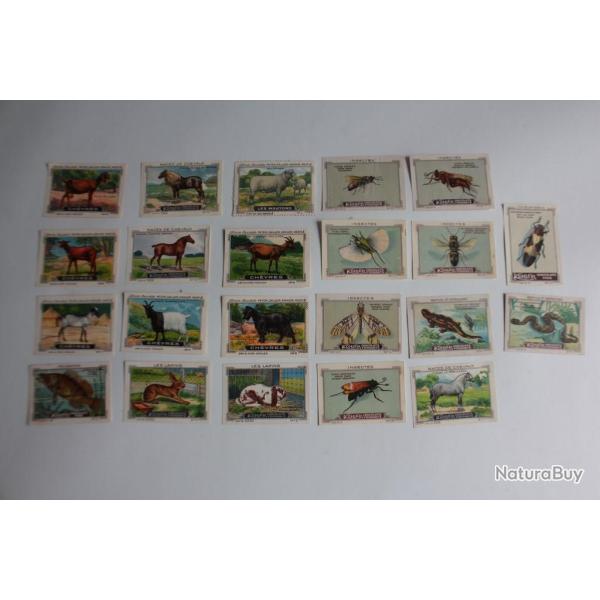 Vignettes ( 22 ) Chocolat Kohler - Cailler's Animaux Suisse