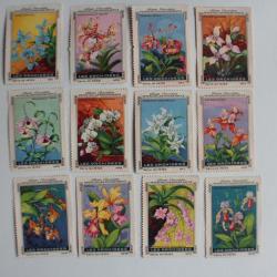 Vignettes ( 12 ) Chocolat Kohler - Cailler's les orchidées Suisse