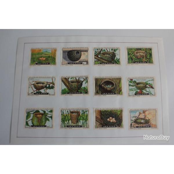 Vignettes ( 12 ) Chocolat Kohler - Cailler's Les nids Suisse