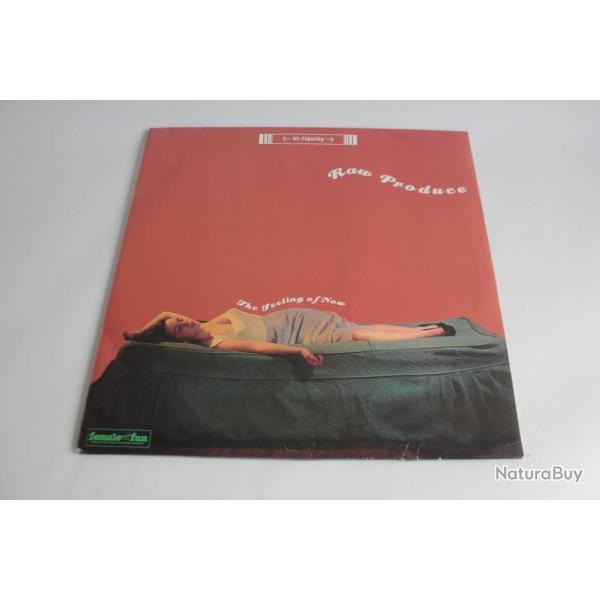 Vinyle 33T Raw Produce - The Feeling Of Now HHV005