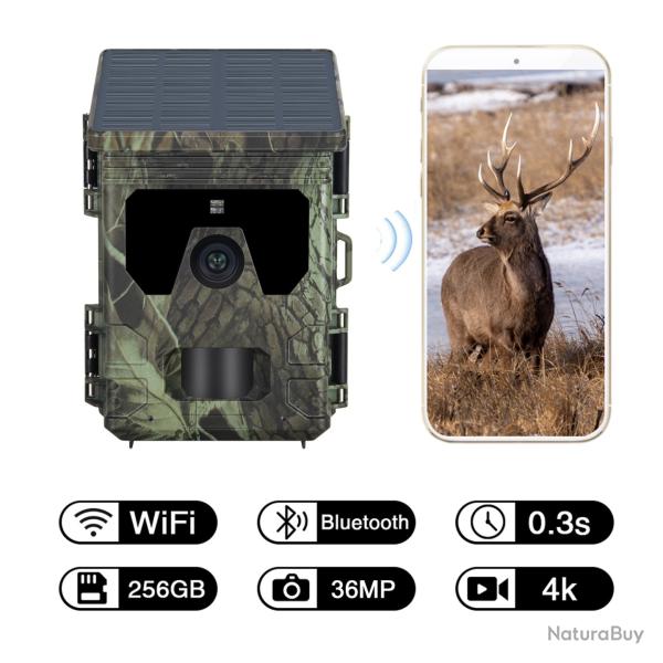 wifi600pro-*Cam�ra de chasse solaire ext�rieure, 4K, 36MP  LIVRAISON GRATUITE !!