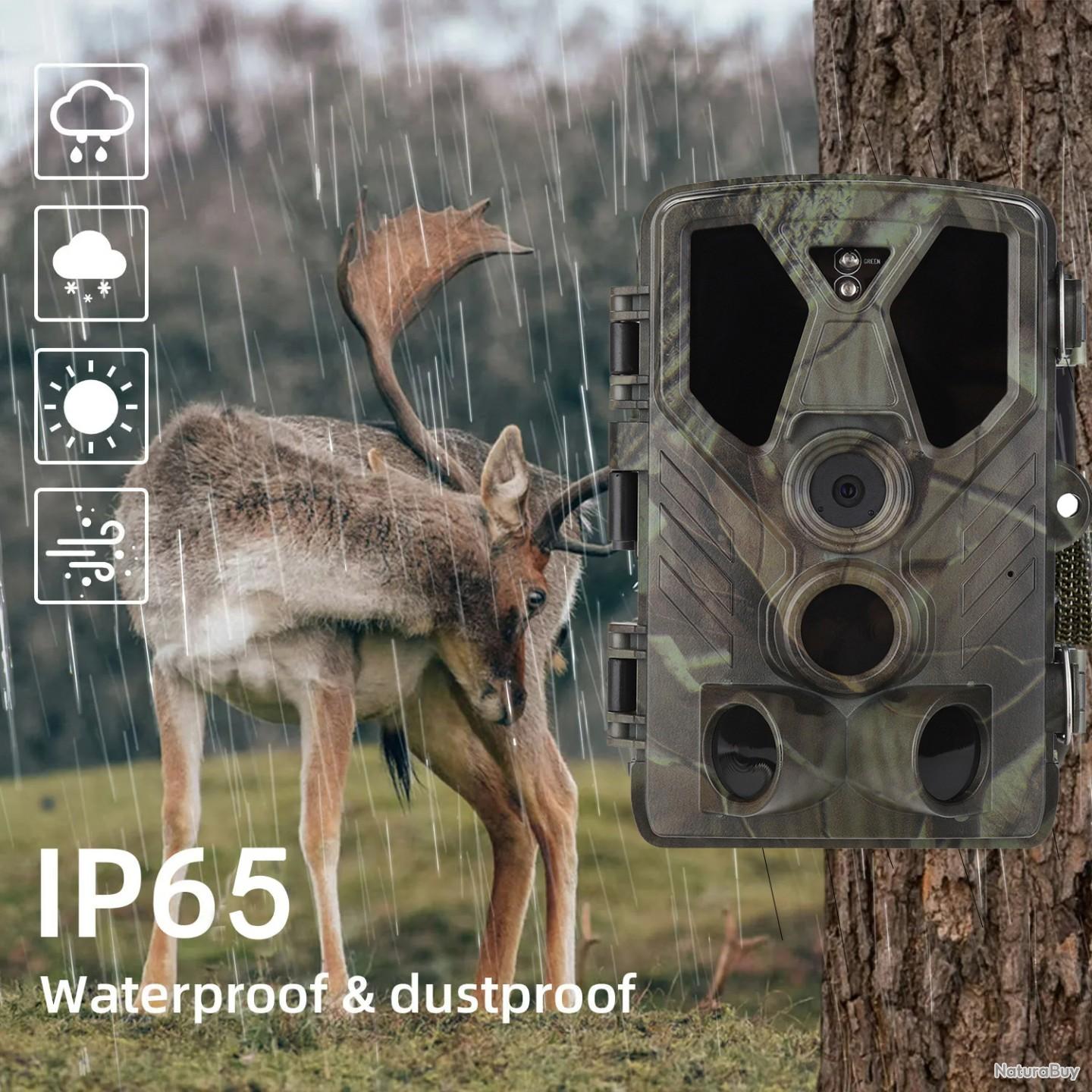 Caméra De Chasse 4K & 36MP - Vision Nocturne Infrarouge - Détecteur De Mouvement Pour Faune