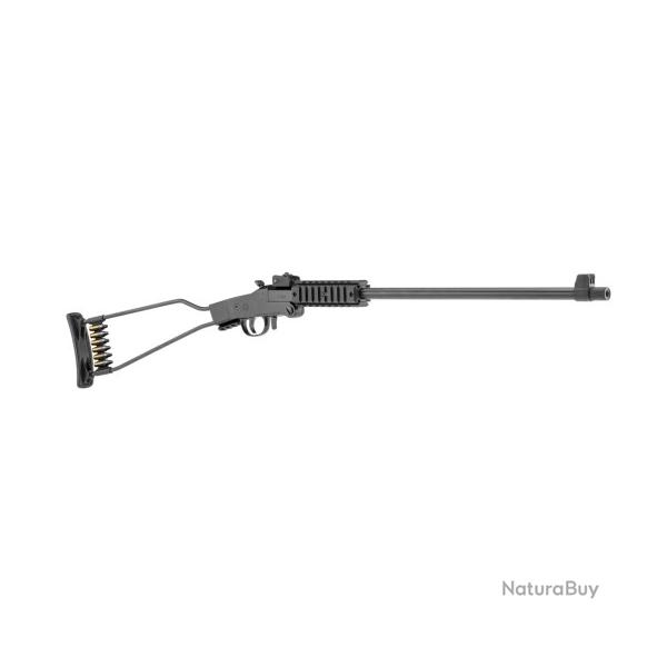 Carabine CHIAPPA little badger cal.17hmr