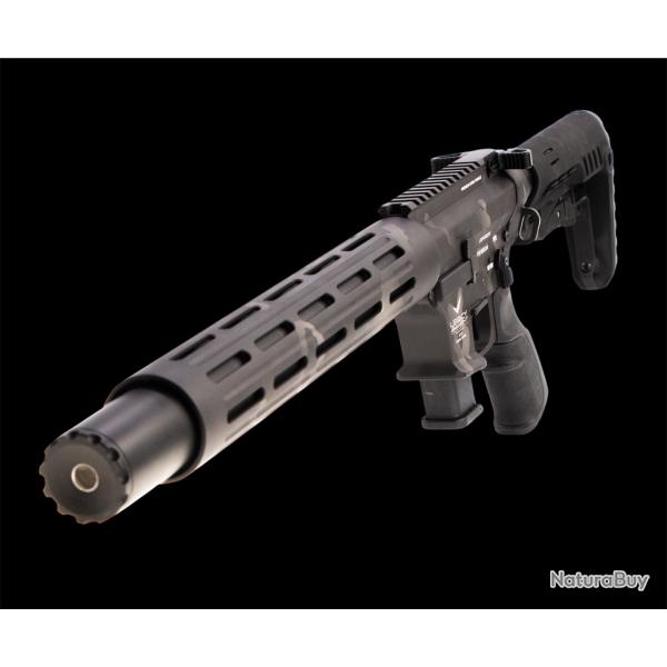 � saisir AR9 SD silencieux int�gr� Legacy Armament