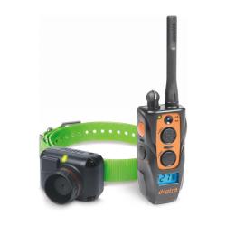 Dogtra Collier suppl&eacute;mentaire 2600 T&B pour chien b&eacute;cassier
