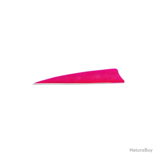 Plume de flche Naturelle Gateway Shield - 3 Pouces / Rose