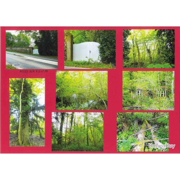 2,4708 ha - ETANG DU GRAND MARAIS DE SAINT - VRAIN - ( 91 ) ESSONNE