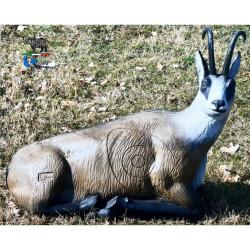 ITAL ESPANSO -&nbsp;CHAMOIS MOYEN 2D