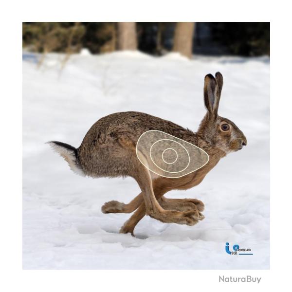 ITAL ESPANSO -LIEVRE 2D