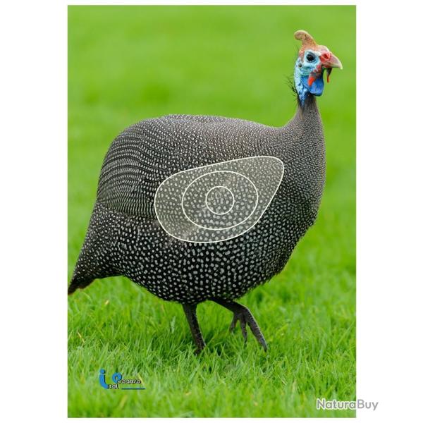 ITAL ESPANSO -�PINTADE�2D