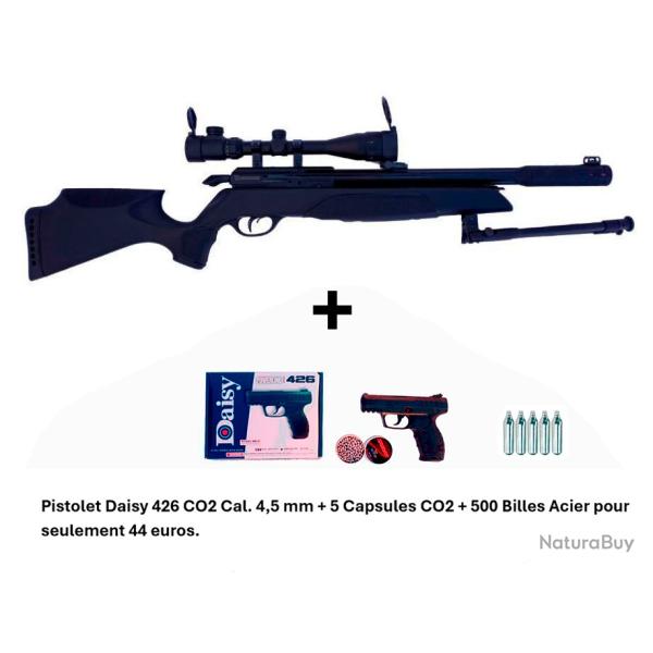 PACK COMBIN� ! PACK9 Carabine Arrow Gamo 4,5 mm + Pistolet Daisy 426 + 500 billes en acier + 5 CO2