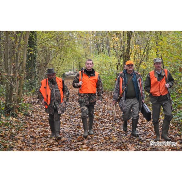 Action de chasse Grand Gibier - Proche Noyon (60)