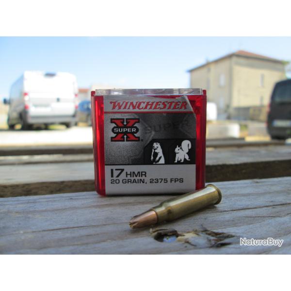 50 cartouches 17HMR 20gn Hollow POINT de WINCHESTER