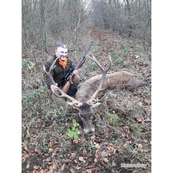 Action de chasse grand gibier en Meuse
