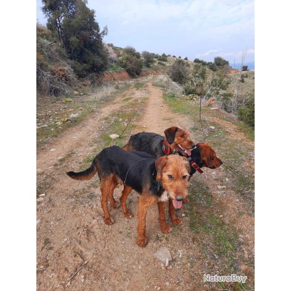 PRIX IMBATTABLE et chasse possible toute l'ann�e! Pr�t pour l'aventure d'une vie en Turquie ? ??